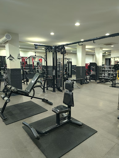 Is power musculation fitness Profile Picture