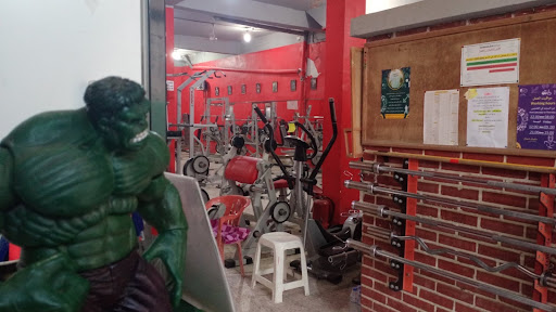 extreme gym biskra Profile Picture