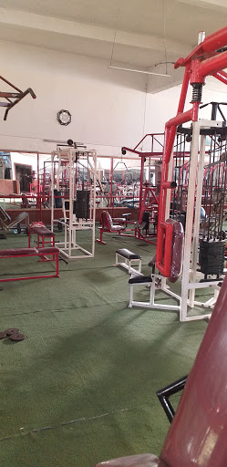 BOUGUERRA GYM Profile Picture