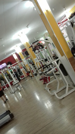Walid Gym Fitness Profile Picture