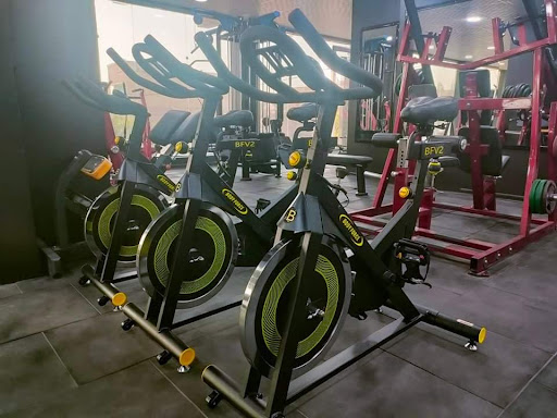 Lynx GYM Profile Picture