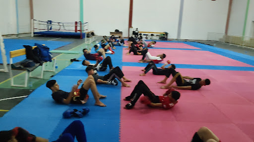 Salle spécialisé sports des combats Profile Picture