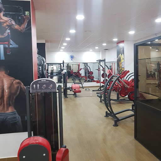 Maxi Fitness Profile Picture