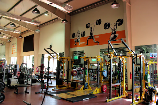 Spartan Fitness Profile Picture