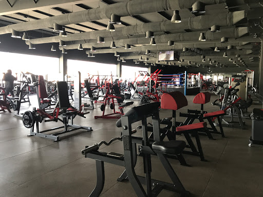 Iron Man Gym Profile Picture