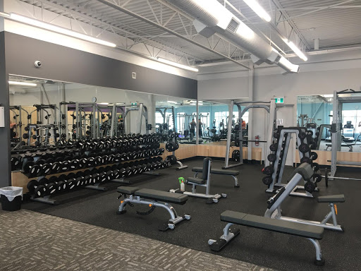 Anytime Fitness Profile Picture