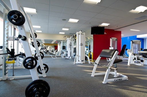 Womens Fitness Clubs of Canada Profile Picture