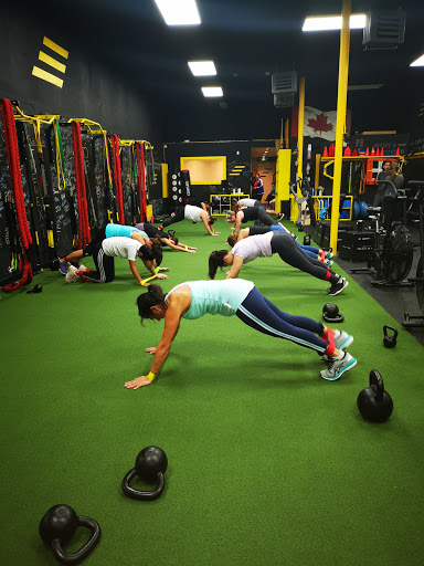 The Next Step Training Centre Profile Picture