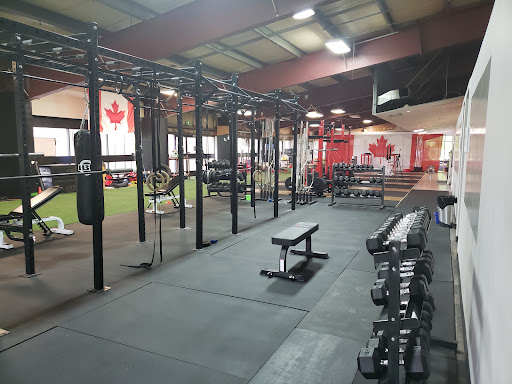 Lift Fitness and Performance Profile Picture