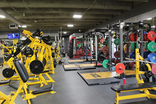 Gold\'s Gym Profile Picture