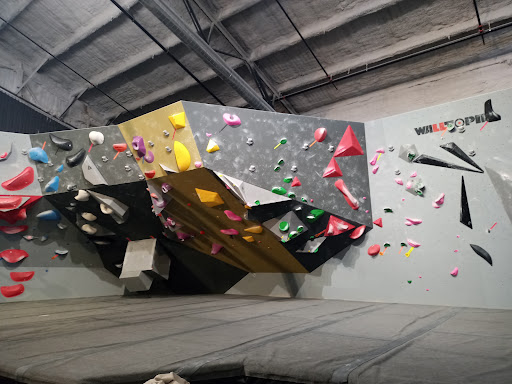 D-Vert Rock Climbing Gym and Fitness Center Profile Picture