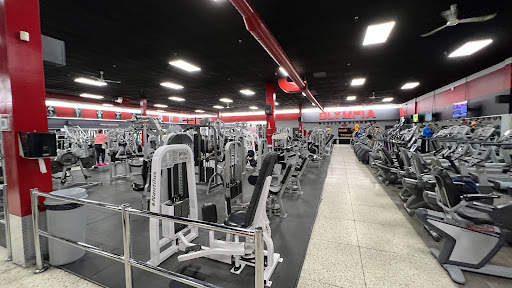 Olympia Muscle & Fitness Profile Picture