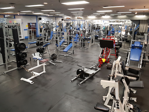 Harbour City Fitness and Tanning Profile Picture