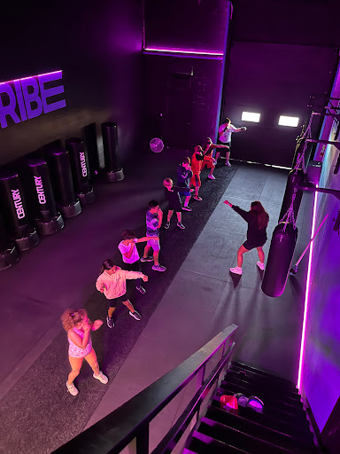 Tribe Studios Personal Training & Boxing Profile Picture