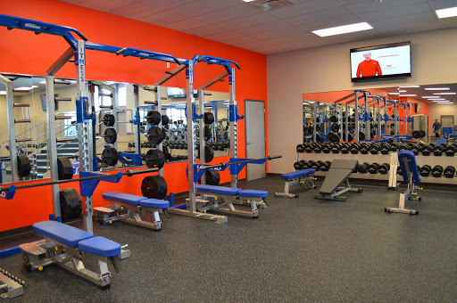 Platinum Fitness Profile Picture