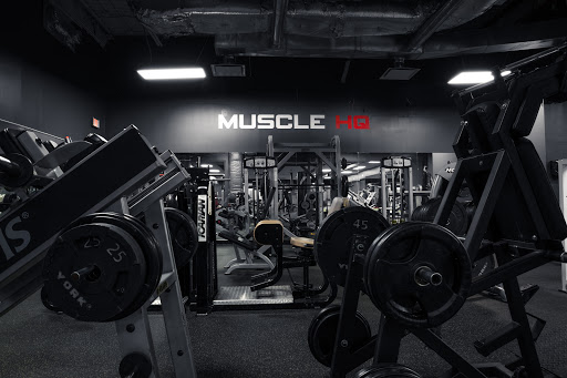 Muscle HQ Profile Picture