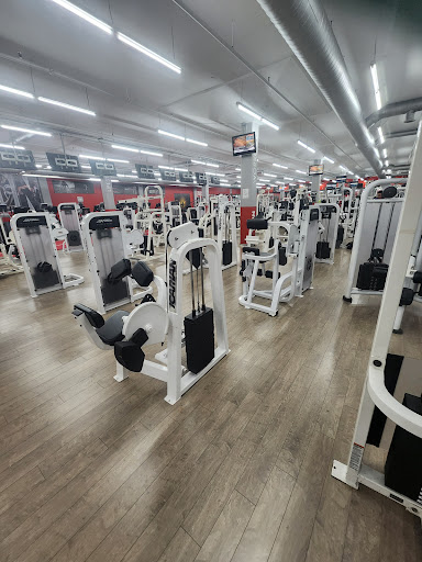 Body Vision Fitness Inc Profile Picture