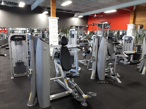 Concept Cardio Plus Inc Profile Picture