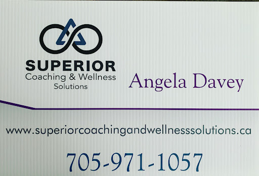 Superior Coaching and Wellness Solutions Profile Picture