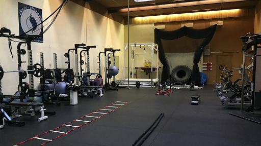 Cross Trainers Holistic Health Playground Profile Picture
