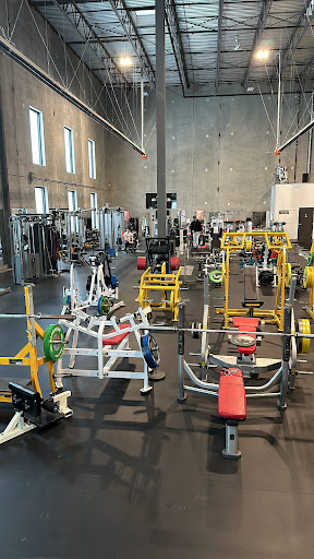 All Elite Fitness Profile Picture