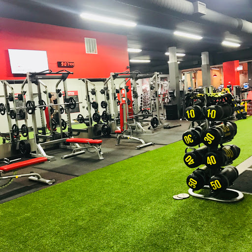 Vive Fitness 24/7 Lakeshore Etobicoke Profile Picture
