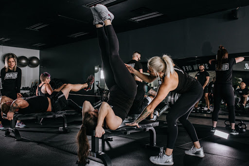 Shred Shop Wellness Complex Profile Picture