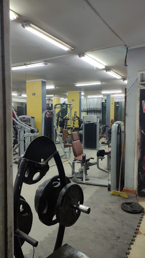 Van dam Gym Profile Picture