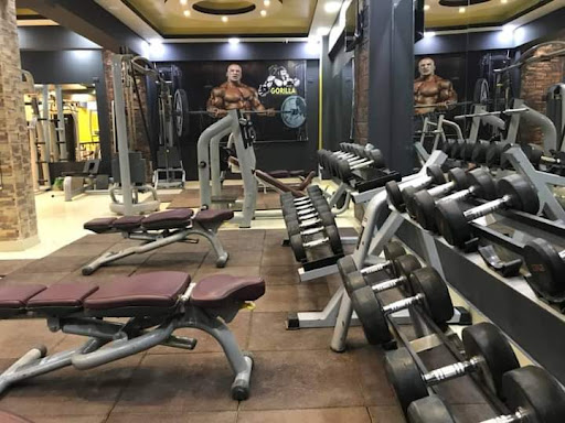 GORILLA GYM ACADEMY Profile Picture