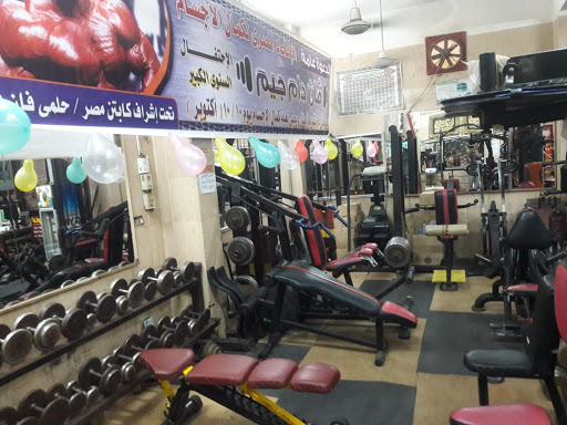 فان دام جيم Profile Picture
