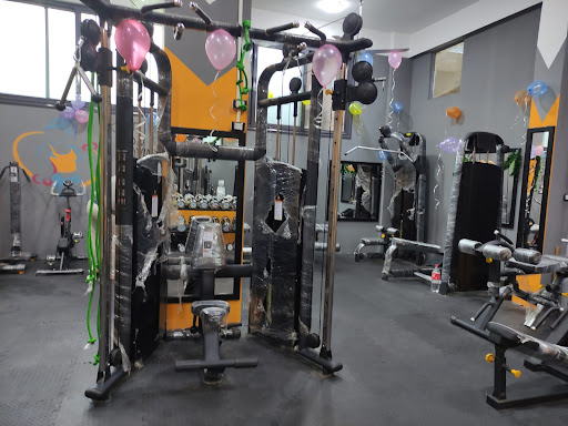 FOX GYM Profile Picture