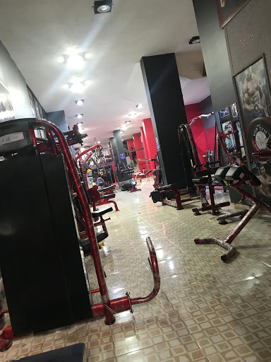 VIP GYM Profile Picture