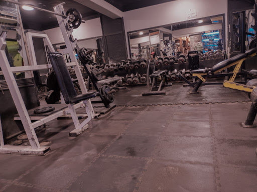 Bulk Gym Profile Picture