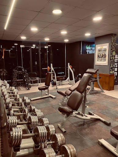 Live gym Helwan Profile Picture
