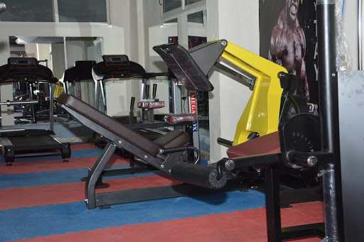 Elite Gym Ismailia Profile Picture