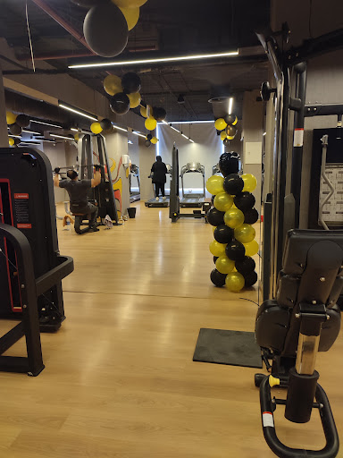 X FIT GYM Profile Picture