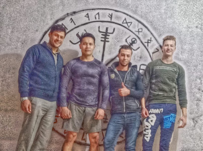 Vegvisir MMA Studio Gym Profile Picture