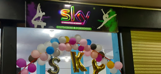 Sky Gymanstics Academy Profile Picture