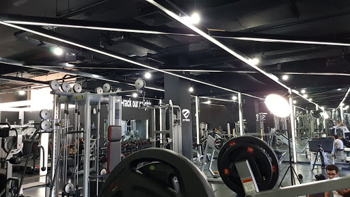 Z Fitness Profile Picture