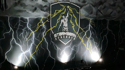 Stormborn Strength & Fitness Profile Picture