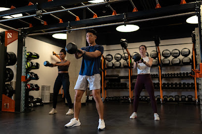 Performance Lab LIC Profile Picture