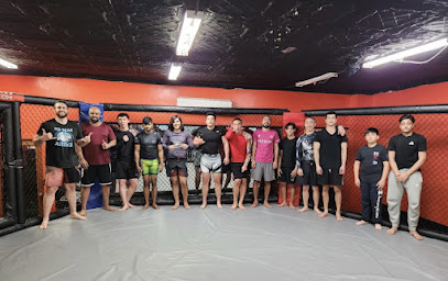 TKO Fitness MMA Club Profile Picture
