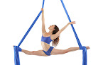 Aerial Physique Profile Picture