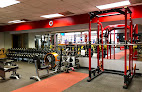 Shape It Fitness Profile Picture