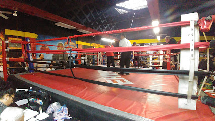 Elite HE Boxing Boxeo Gym Profile Picture