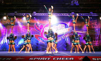 Jersey All Stars LLC Profile Picture