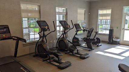 BLUEBERRY & EDISON VILLAGE GYM Profile Picture