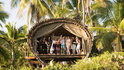PineappleYogi | Yoga & Wellness Classes, Programs Profile Picture