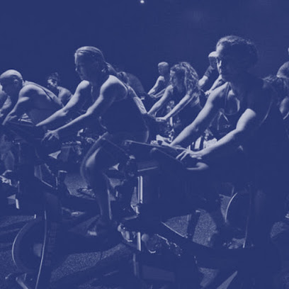 Evolve Cycle and Fitness Profile Picture