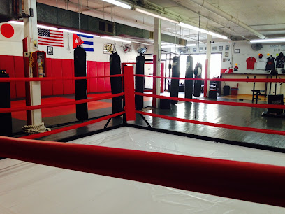 High Impact Martial Arts Profile Picture